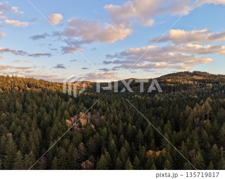 capturing untouched wilderness terrain and canopy structure through aerial drone surveillance capturing untouched wilderness terrain and canopy structure through aerial drone surveillance 135719817