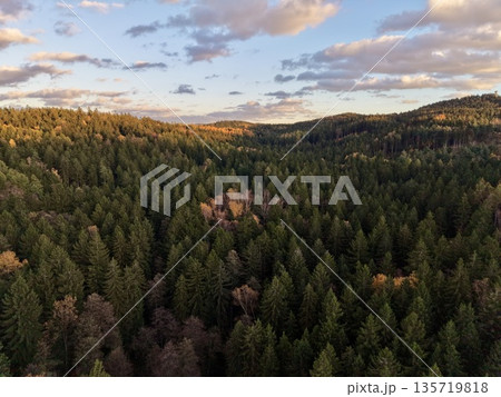 drones provide comprehensive mapping of pine forests to assist responsible harvesting strategies drones provide comprehensive mapping of pine forests to assist responsible harvesting strategies 135719818