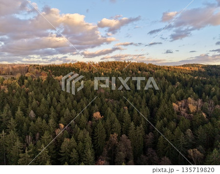 scenic forest sunset journey, dusk over diverse trees with scenic trekking route and eco tour 135719820