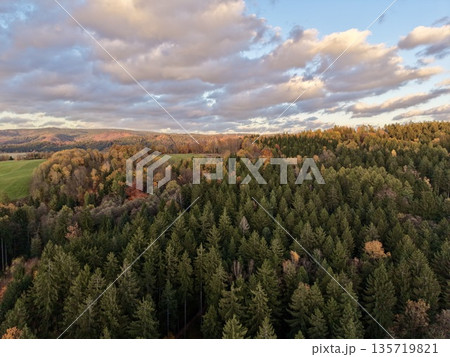 cannot generate variations without given source text, provide original text so i can create different versions 135719821