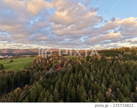 calm seasonal landscape featuring mixed deciduous and evergreen trees with distant rural farmland 135719822