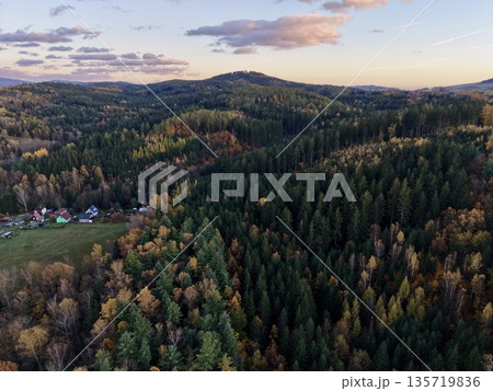 houses bordering open meadow at dusk, settlement adjacent to forest with evening sky backdrop 135719836