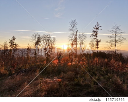dawn over windy hills, sunrise illuminating rugged slopes with sparse trees and golden grasses 135719863