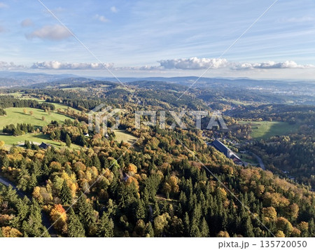 vivid hillside with diverse trees, beautiful terrain featuring winding paths and multicolored trees 135720050