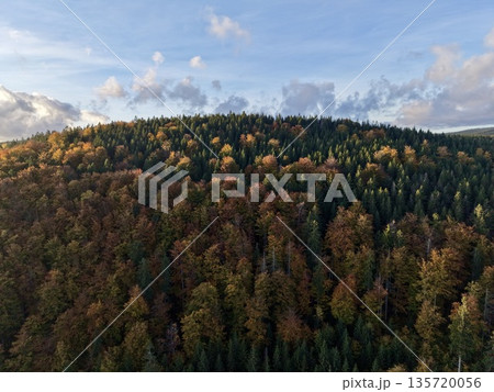autumn treetops above hillside, hillside scene with drifting clouds and vibrant fall foliage autumn treetops above hillside, hillside scene with drifting clouds and vibrant fall foliage 135720056