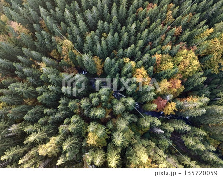 assessment of woodland symmetry and foliage density informs climate change research and conservation efforts 135720059