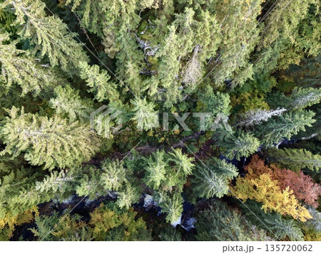 seasonal coloration and habitat mosaic analyzed via remote sensing for ecological research 135720062