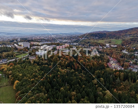 city outskirts with woodland background, periphery of metropolis featuring forested foreground and skyline 135720084