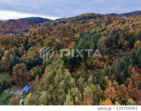 hidden forest retreat, remote autumn woodland hideaway, secluded shelter amidst vibrant fall trees hidden forest retreat, remote autumn woodland hideaway, secluded shelter amidst vibrant fall trees 135720091
