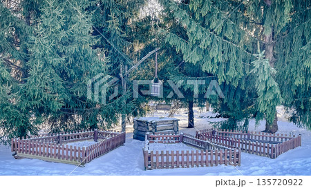 Evergreen spruce branches covered with fresh white snow in a bright sunny forest on a winter day. Evergreen spruce branches covered with fresh white snow in a bright sunny forest on a winter day. 135720922