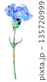 青いの水彩コラージュのカーネーション一輪 135720999