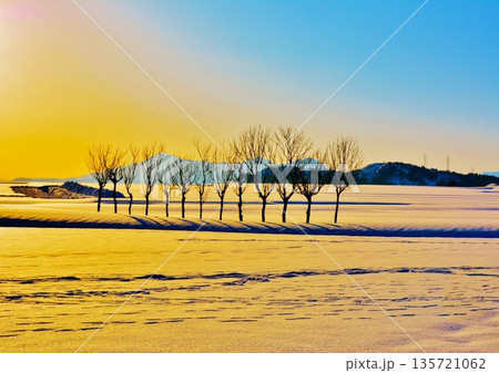 雪原のハサ木朝焼けの夜明け・越後三山冬景色 雪原のハサ木朝焼けの夜明け・越後三山冬景色 135721062