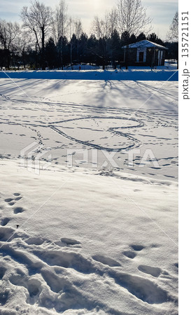 A large heart shape trodden in fresh white snow on a field, surrounded by winter trees and long shadows. 135721151