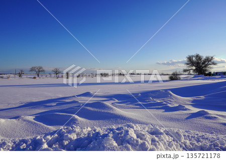 冬のしのつ湖・新篠津村 135721178