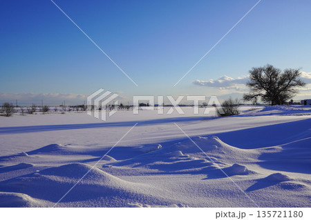 冬のしのつ湖・新篠津村 冬のしのつ湖・新篠津村 135721180