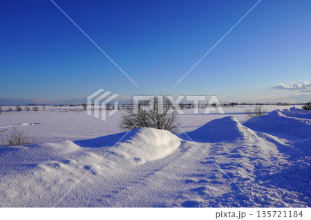 冬のしのつ湖・新篠津村 冬のしのつ湖・新篠津村 135721184