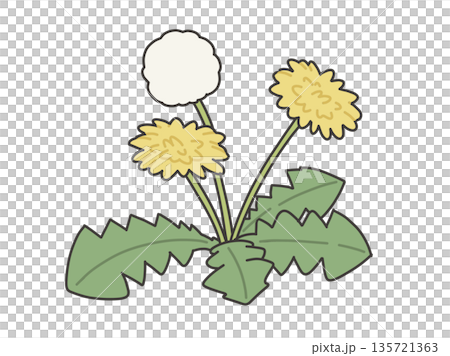 たんぽぽのイラスト たんぽぽのイラスト 135721363