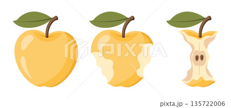 Juicy yellow apple eating steps icon set. Stages of an eaten apple, whole, bitten and core. Illustration. Juicy yellow apple eating steps icon set. Stages of an eaten apple, whole, bitten and core. Illustration. 135722006