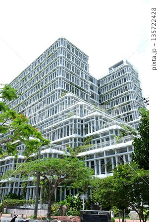 自然豊かな那覇市役所 自然豊かな那覇市役所 135722428