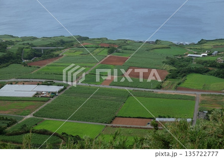 整地された農地 整地された農地 135722777