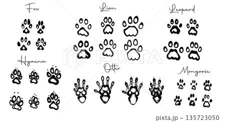 Hand drawn wild animals foot prints Hand drawn wild animals foot prints 135723050