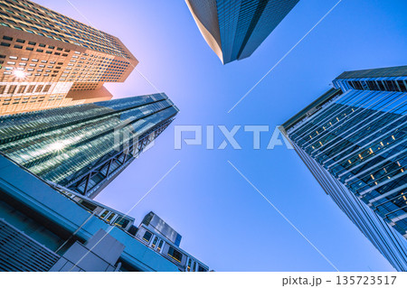 日本の東京都市景観　新時代へ、希望の光…汐留のオフィス街などを望む。未来へ… 135723517