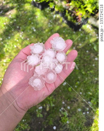 Handful in hand of ice hailstones falling in summer - climate change. Handful in hand of ice hailstones falling in summer - climate change. 135724118