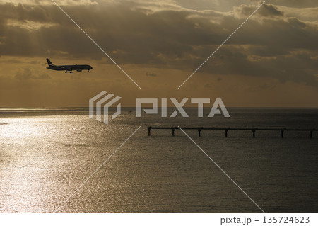 夕方の海とB787 135724623