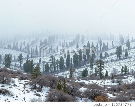 雪の積もった山 135724778