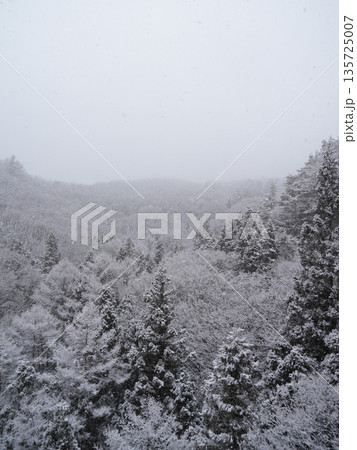 モノクロ調の雪景色　静けさの冬風景（コピースペース） 135725007