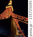 東京タワー 夜のローアングル｜都会を象徴する日本のランドマーク 135725095