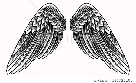 Beautiful detailed angel wings drawing for your collages. Biblical and religious context elements Beautiful detailed angel wings drawing for your collages. Biblical and religious context elements 135725106