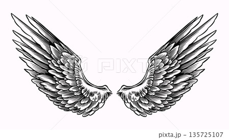 Beautiful detailed angel wings drawing for your collages. Biblical and religious context elements 135725107