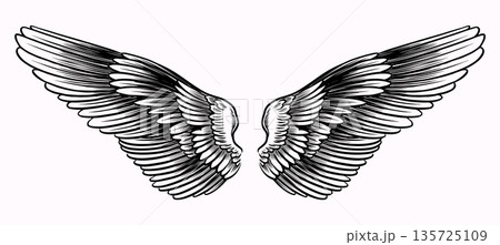 Beautiful detailed angel wings drawing for your collages. Biblical and religious context elements Beautiful detailed angel wings drawing for your collages. Biblical and religious context elements 135725109