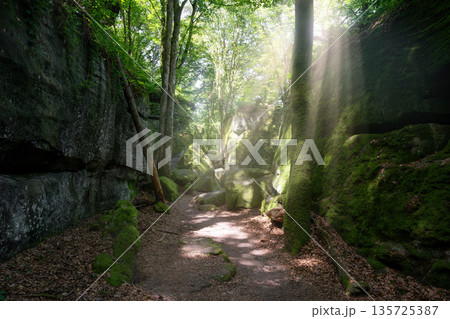 Mullerthal during summer season, Luxembourg 135725387
