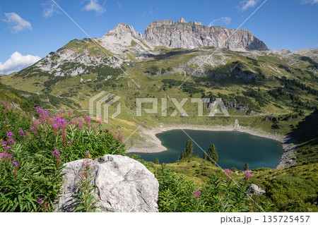 Panoramic landscape, Lech, Tirol, Austria 135725457