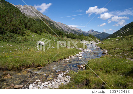 Panoramic landscape, Lech, Tirol, Austria 135725458