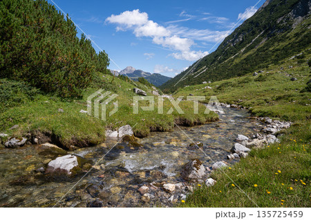 Panoramic landscape, Lech, Tirol, Austria Panoramic landscape, Lech, Tirol, Austria 135725459