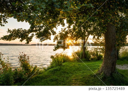 Schlaenitz lake close to Potsdam, Brandenburg, Germany Schlaenitz lake close to Potsdam, Brandenburg, Germany 135725489