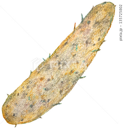 長芋のイラスト オイルパステル画 135725802
