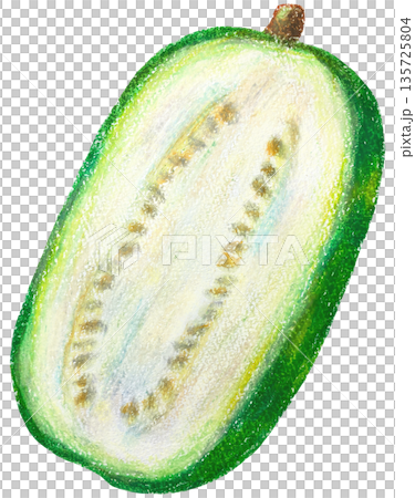 Winter melon cross section oil pastel drawing 135725804