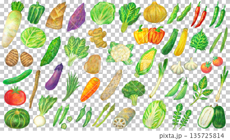 蔬菜插圖套裝，油畫棒繪畫 135725814