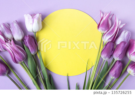 Spring composition on lilac background of flowers purple tulips with around yellow round shape made of paper for text. Happy Mother's Day greeting card, happy Valentine's Day, March 8, happy birthday 135726255