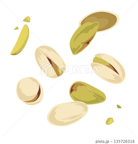 ピスタチオのイラスト　シンプルなベクター素材 135726318
