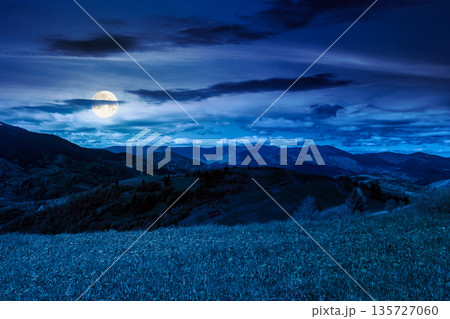 springtime weather in mountains at night. beautiful countryside landscape in full moon light. grassy alpine meadow with yellow dandelions and lush grass for pasture. dynamic clouds on the dark sky springtime weather in mountains at night. beautiful countryside landscape in full moon light. grassy alpine meadow with yellow dandelions and lush grass for pasture. dynamic clouds on the dark sky 135727060
