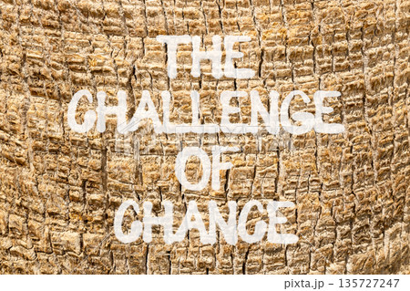 The challenge of chance symbol. Concept words phrase The challenge of chance on beautiful palm tree bark. Beautiful palm tree bark background. Business The challenge of chance concept. Copy space. The challenge of chance symbol. Concept words phrase The challenge of chance on beautiful palm tree bark. Beautiful palm tree bark background. Business The challenge of chance concept. Copy space. 135727247