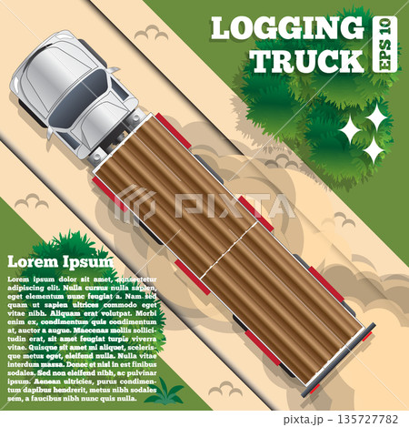 Logging truck on a forest road. View from above. Vector illustration. 135727782