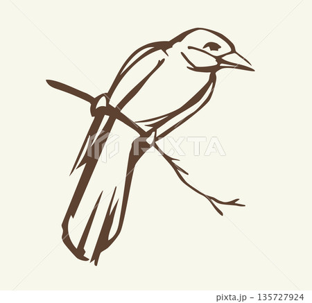 Vector drawing. Bird on white sky backdrop. 135727924