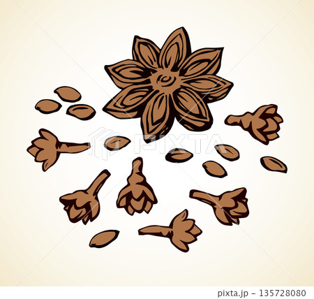 Anise. Vector drawing Anise. Vector drawing 135728080