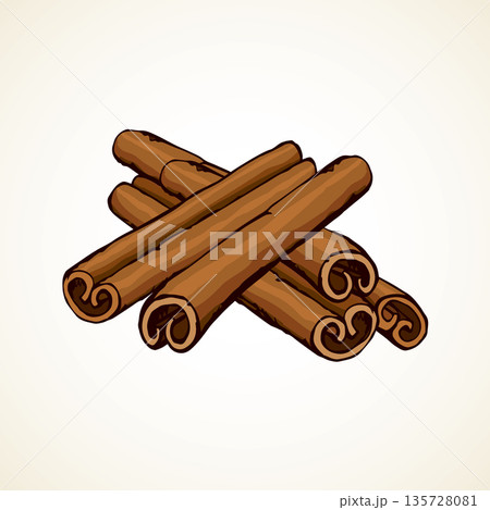 Cinnamon. Vector drawing 135728081